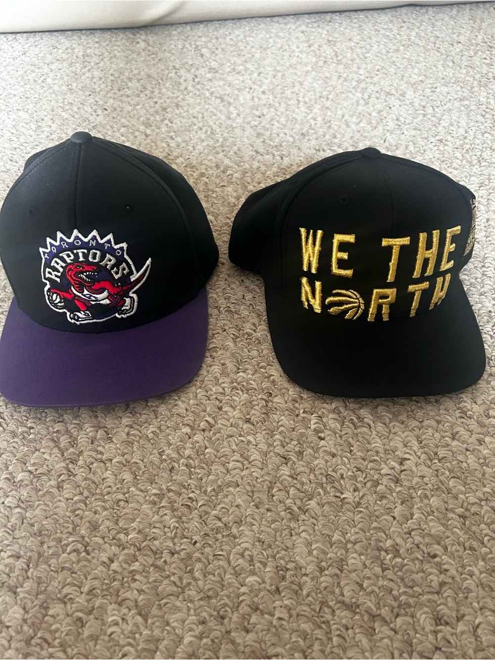 Toronto Raptors SnapBack Caps Hats Mitchell & Ness Black Gold Purple